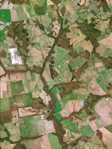 Aerial photo of farmland and streams - with trees growing in between them.
