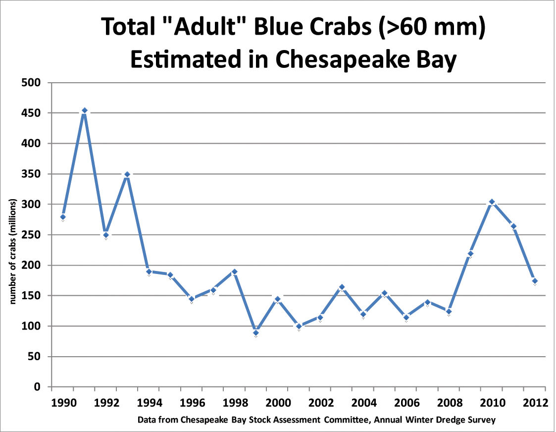 Chesapeake Bay blue crab population remains healthy and sustainable,  despite population decline