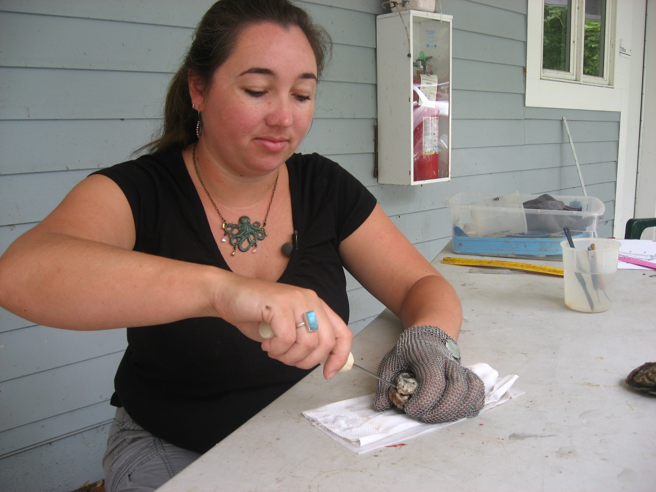 Rebecca Burrell dissects an oyster.