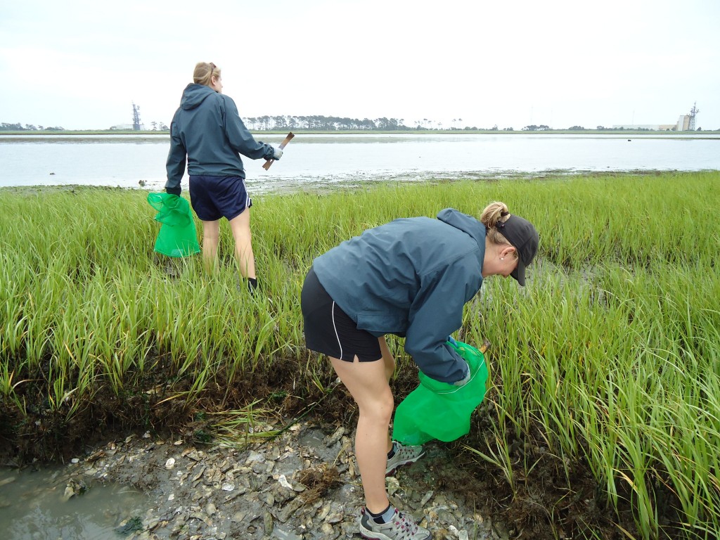 Kristy Hill and Michelle Repetto hunt for oysters on an exposed marsh in Chincoteague Bay. (Katrina Lohan)