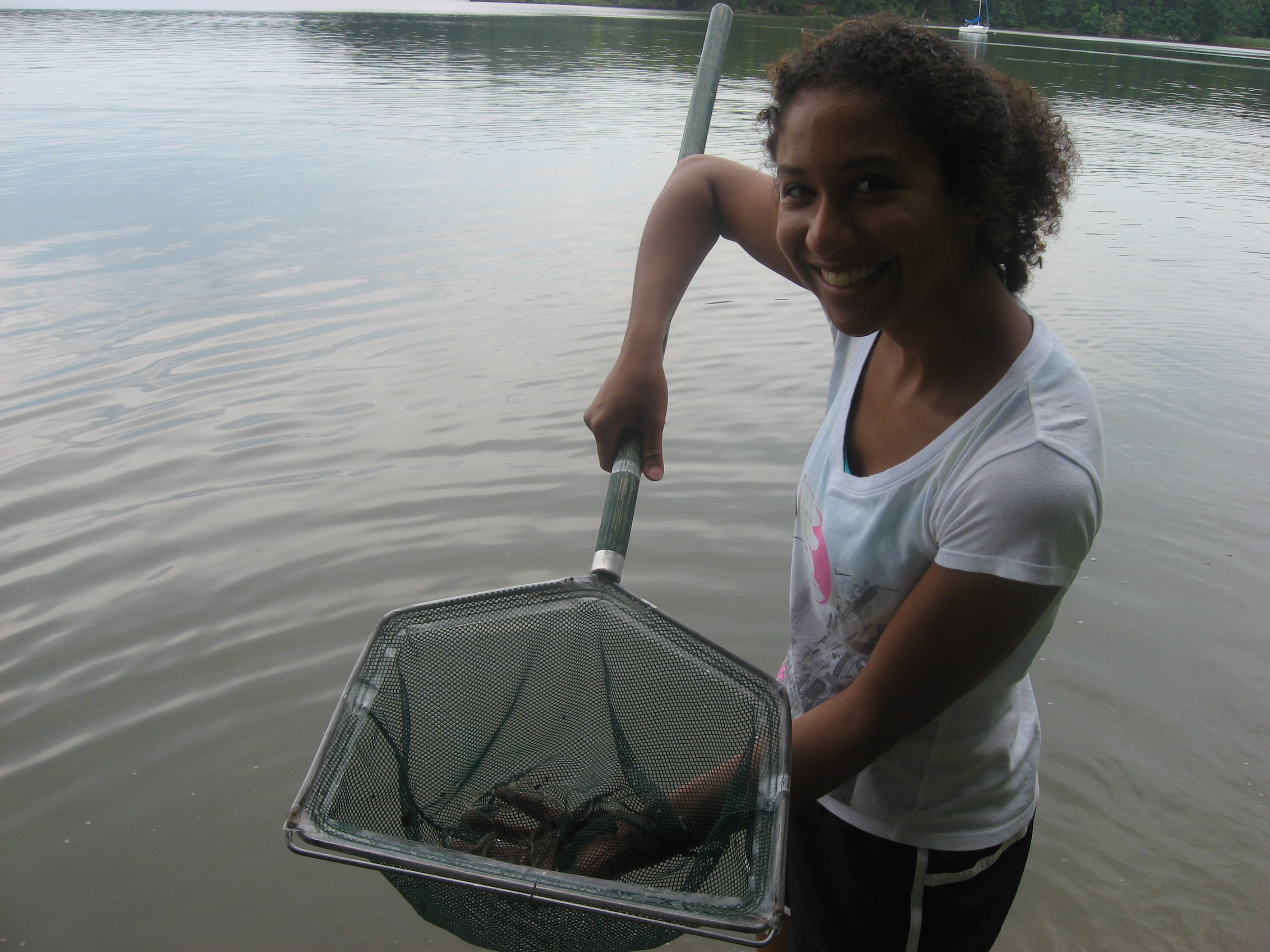 Shorelines » Blog Archive Parasites and Suicidal Shrimp - Shorelines