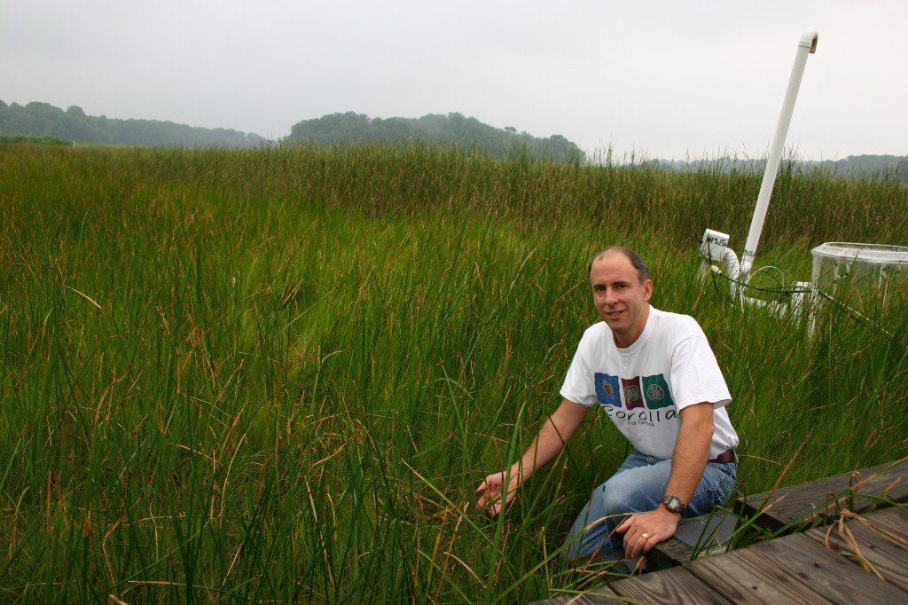 Pat Megonigal on SERC's experimental wetland in Maryland. Sea level in mid-Atlantic marshes is rising at roughly 3 mm/year. So far this marsh has been able to keep pace.