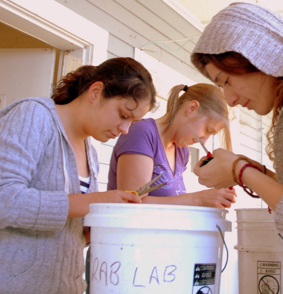 Amanda Guthrie (left) cleans mussels with the research team before a simulated ocean voyage experiment in lab. (Photo by Kim Holzer)