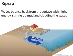 SAVInfographic_riprap