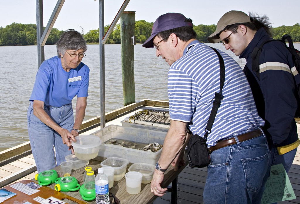 Photo: veteran volunteer alice dollmeyer (left) teaches visitors about oysters at serc's annual open house. (Credit: Smithsonian Institution)