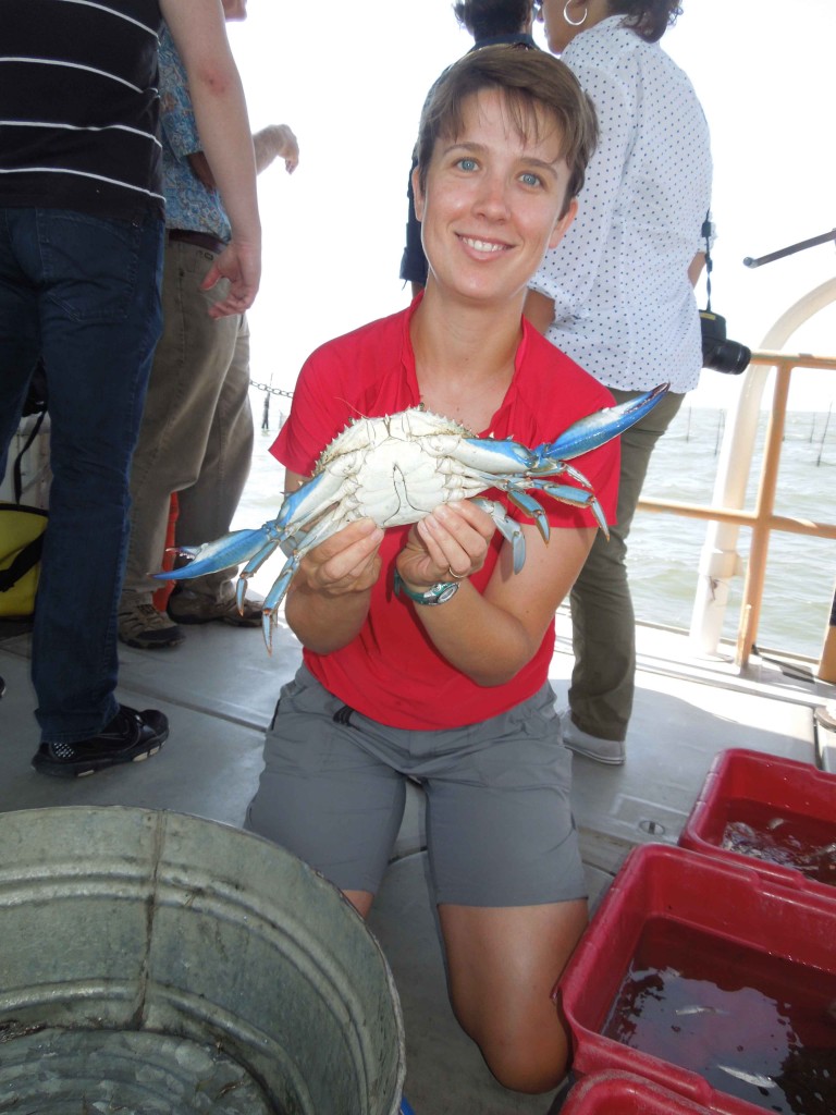 Image: Julie Sepanik holds up a large male blue crab caught in the Rhode River. (Credit: SERC)