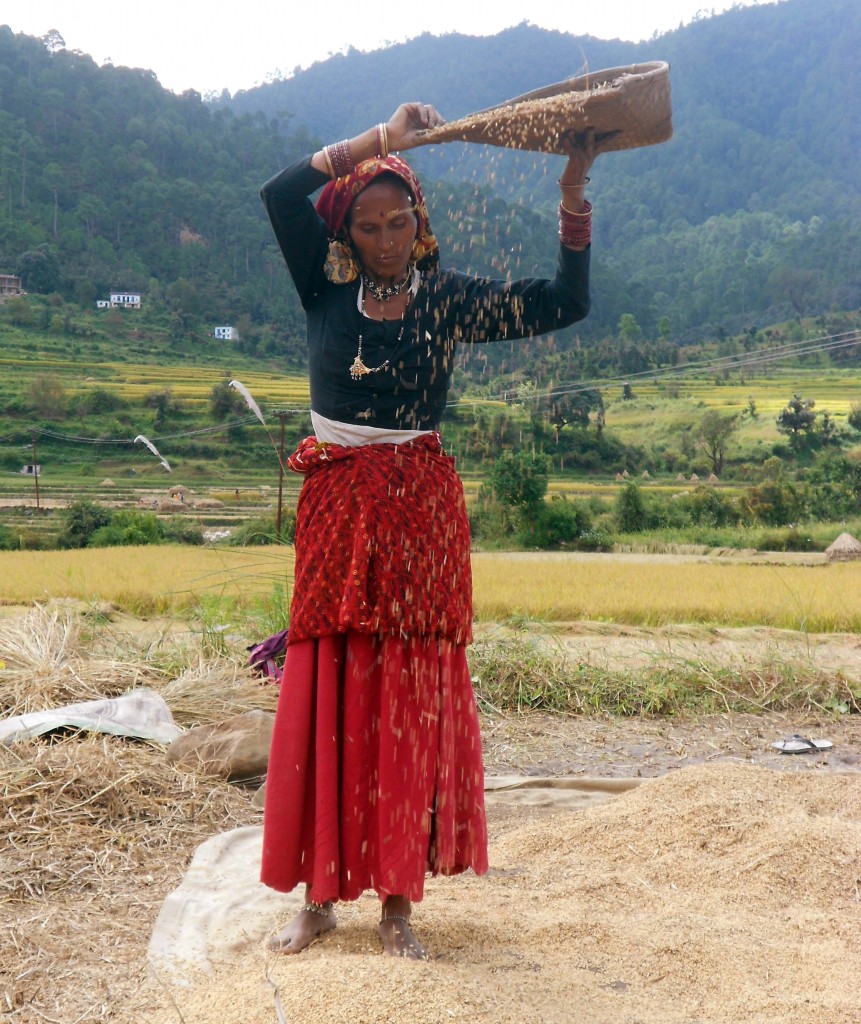 Image: Rice winnowing in Uttarakhand, India. (Credit: Yann)