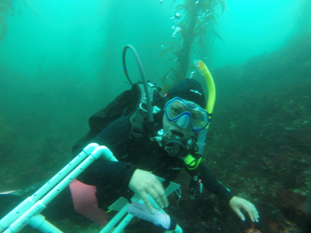 Image: SERC diver Lina Ceballos carries sampling equipment down to depth to survey species underwater. (by Michelle Marraffini/SERC)