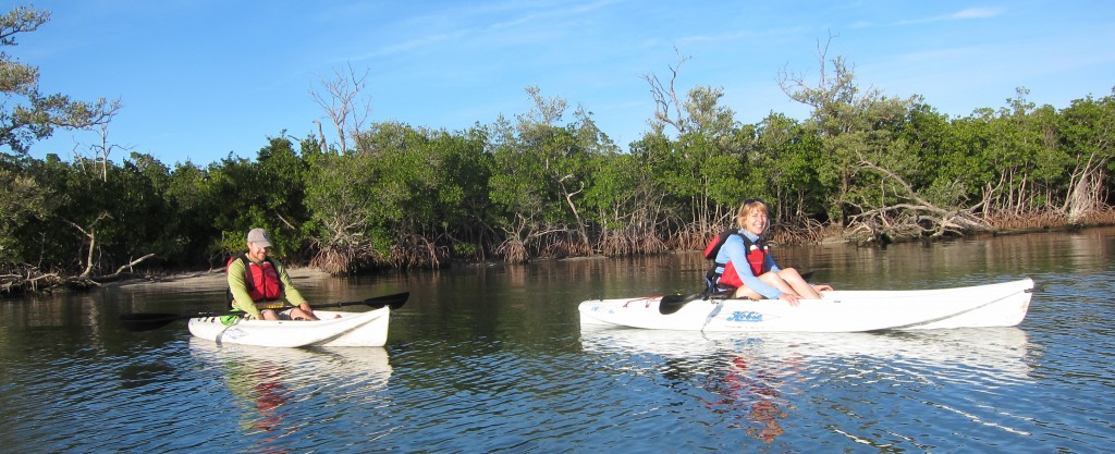 Image: Susan Cook-Patton (right) and Michael Lehmann kayak through mangrove swamps in Fort Pierce, Fla. (Credit: SERC)