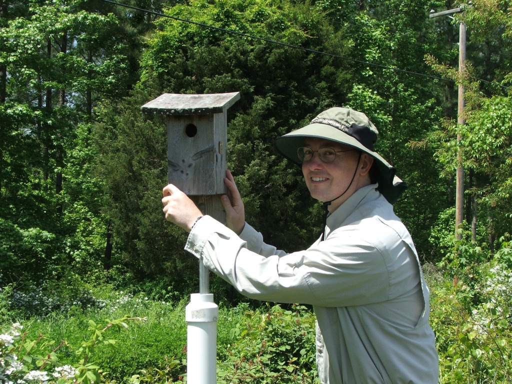 Dave Gillum: “Watching the young birds from hatch to fledge is always a thrilling experience.” 