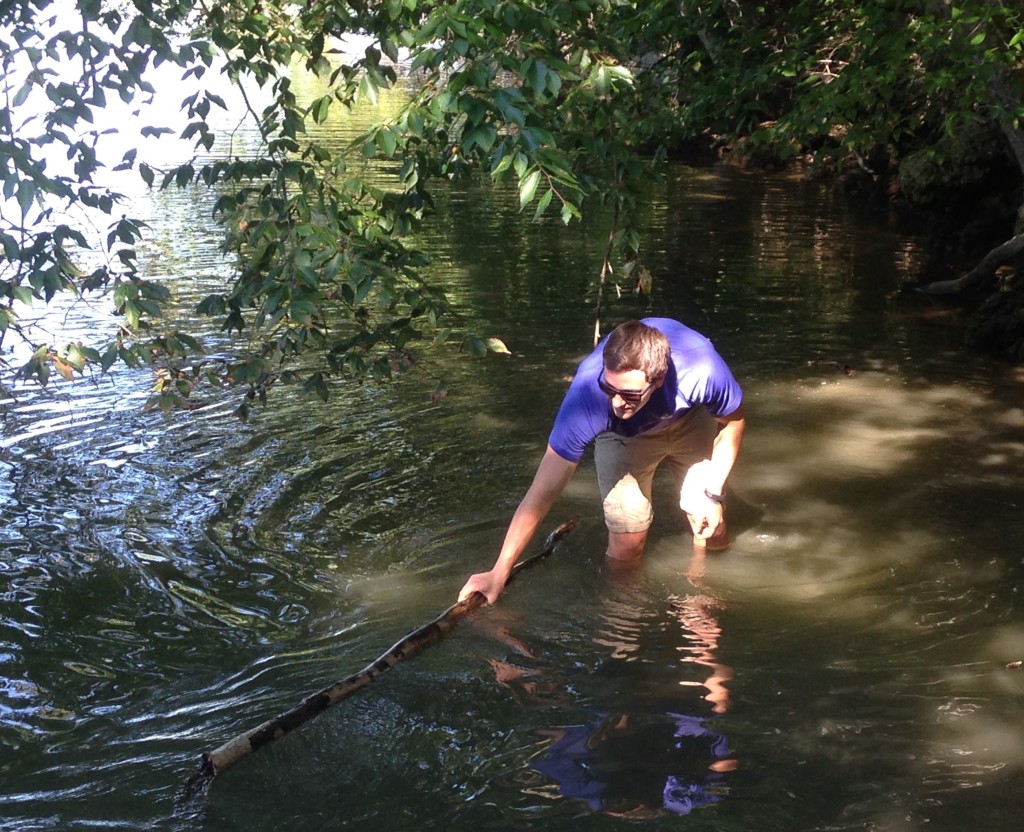 Connor Hinton locates a soggy log in the water. (SERC)