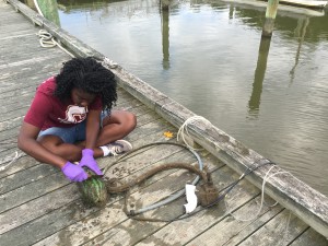 Graham cleans her equipment of marine organisms