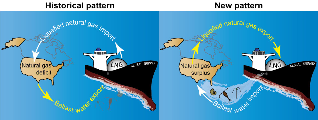 Illustration of ships engaged in the liquified natural gas trade. Left: Historical pattern, with ships importing liquefied natural gas into the U.S. Right: New pattern, with ships exporting natural gas from the U.S.