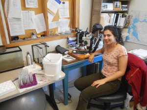 An intern sits next to a microscope and a white bucket with water-filled tubes next to it.