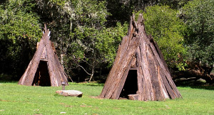 Two structures made from bark in a green field. 