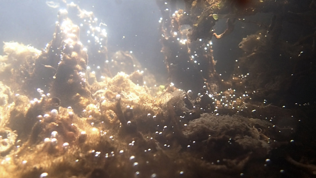 Underwater photo of light hitting bubbles and unidentified organic materials.