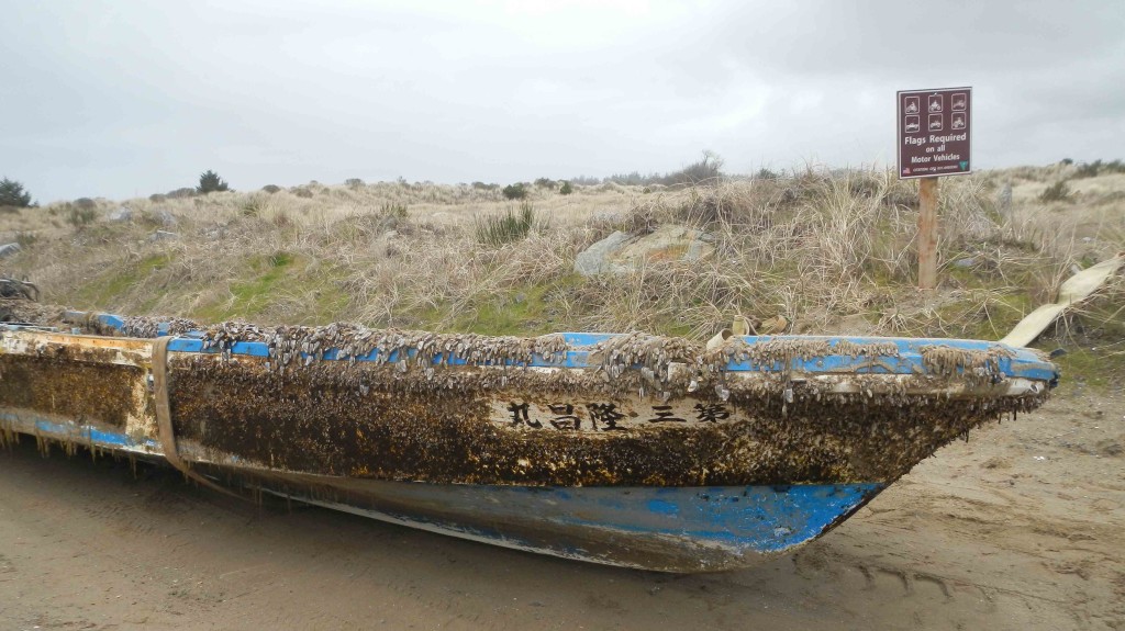 Barnacle-coated boat with Japanese characters washed up on beach
