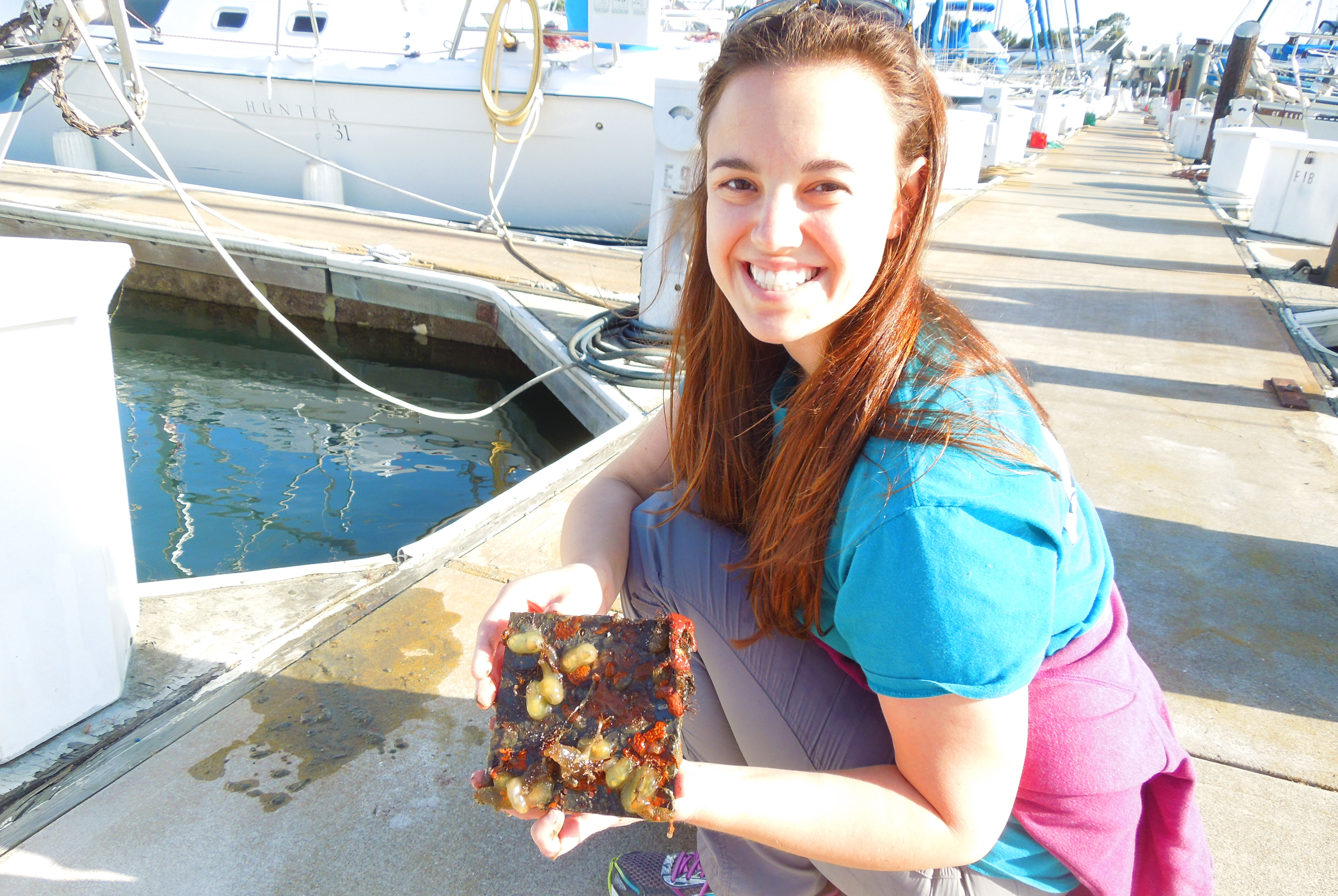 Woman on docks holding plate with marine life, similar to the plates seen on Invader ID