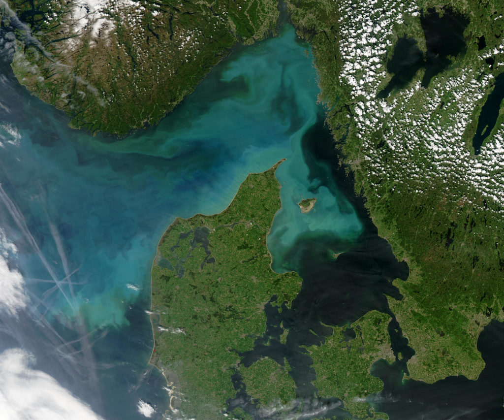 Aerial view of phytoplankton bloom
