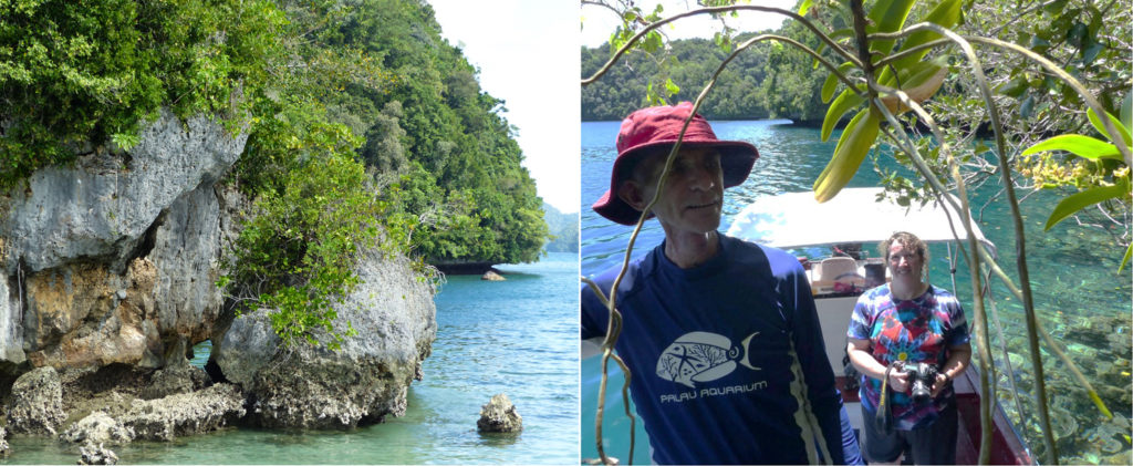 Two photos. Left: Photo of a rock island; right: photo of two scientists in boat approaching island.