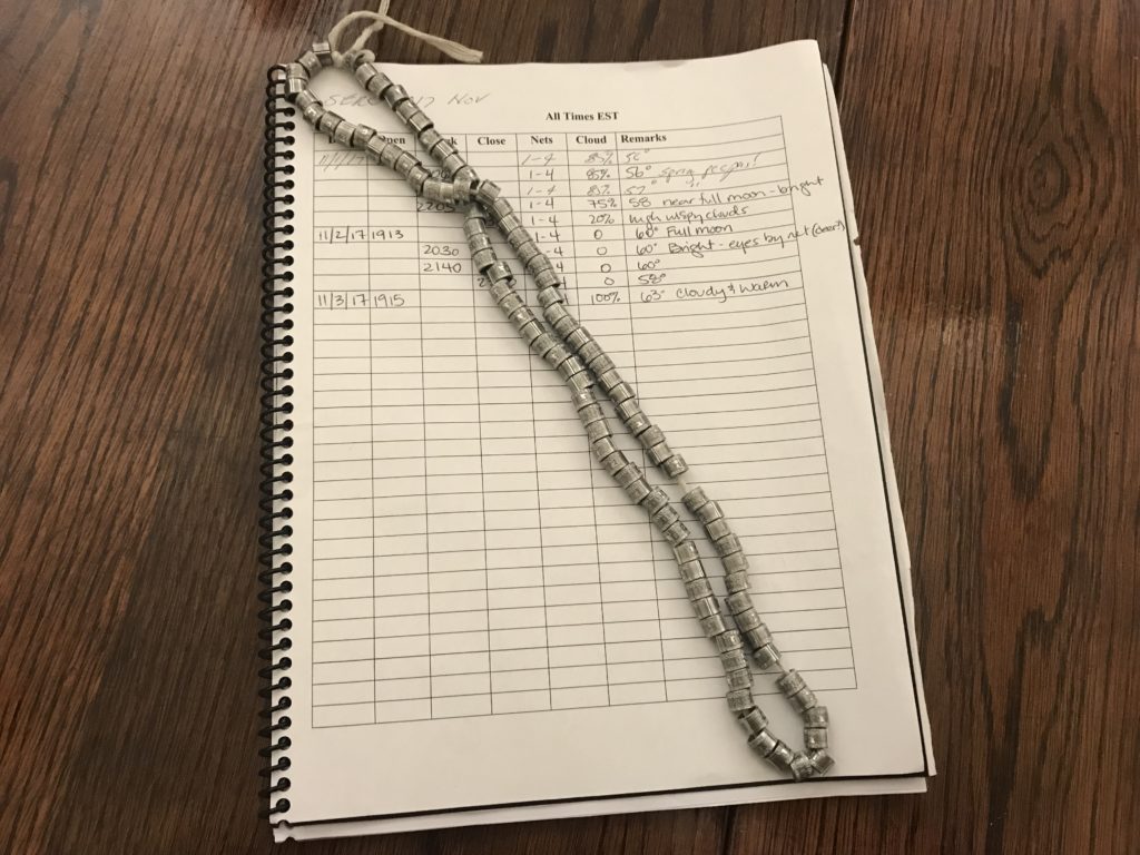 Necklace of tiny silver owl bands on notebook
