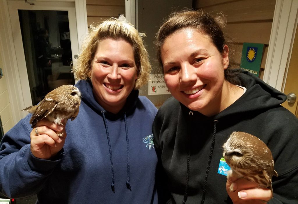 Two women holding saw-whet owls