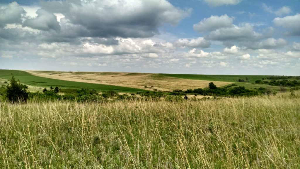 Landscape view of grasslands under blue, cloudy sky
