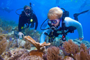 Woman and man in diving suits and scuba gear inspecting corals underwater