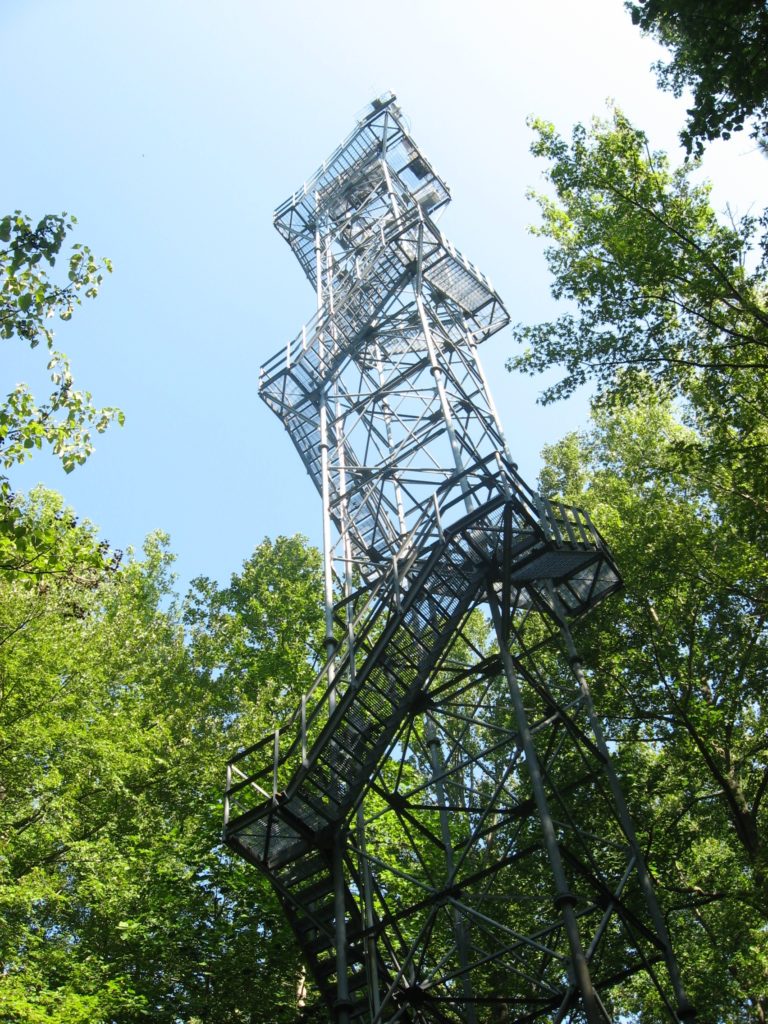 View from the forest floor, looking up at silver open-air tower stretching above trees