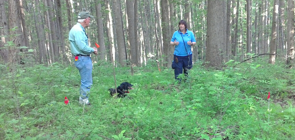 Man and woman in a forest, with a black lab in between them.