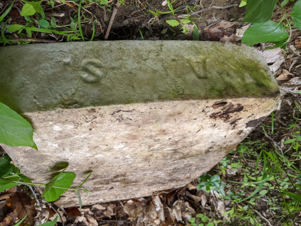 Light brown stone slab on forest floor