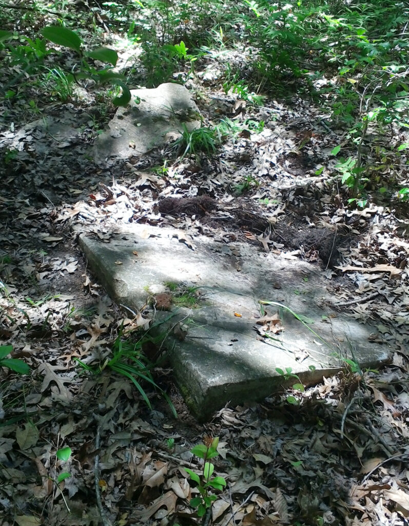 Split gray tombstone amid forest understory, speckled with shadows of the forest canopy