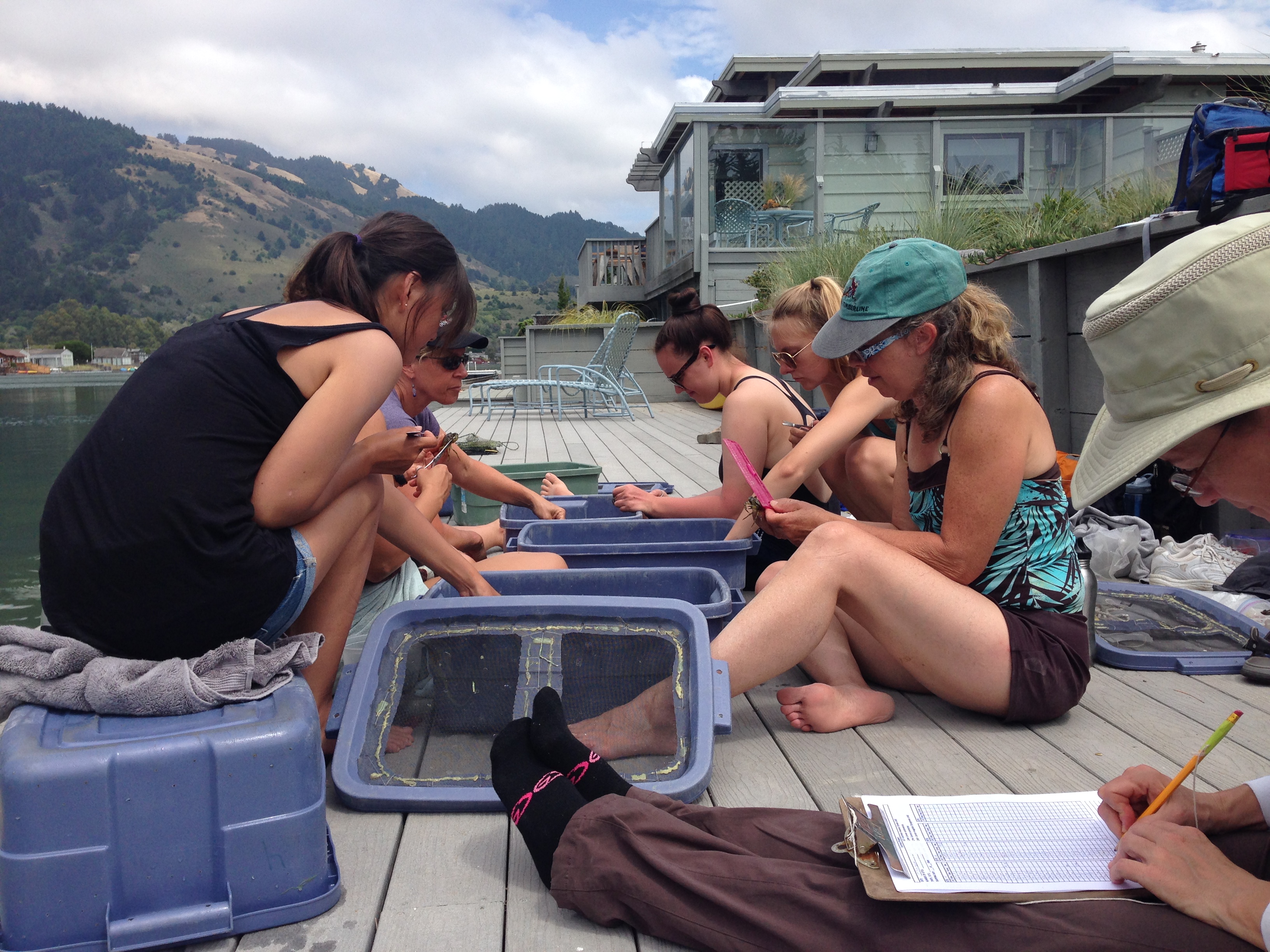 Group on dock measuring crabs in blue crates