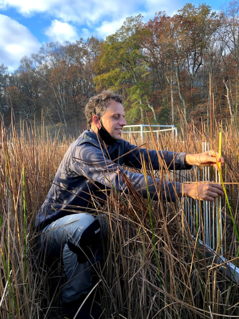 Scientist in a plaid shirt sits on a wetland with brown sedge, adjusting thin poles sticking out of the soil