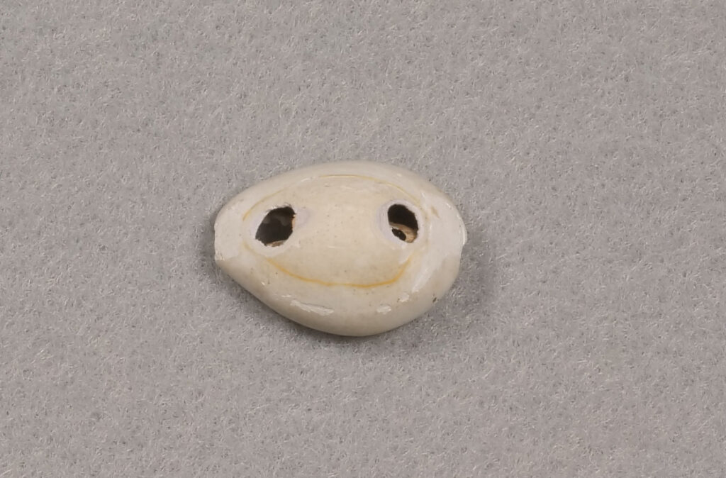 Closeup of a white cowry shell with two holes in the front and back.