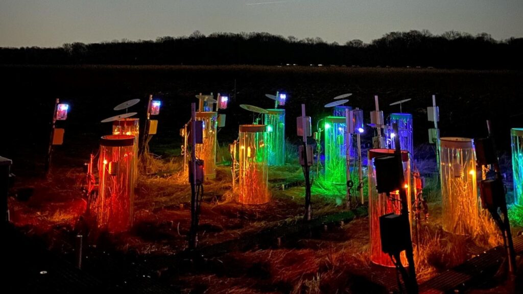 Cylindrical chambers on a wetland at dusk, lit up in red, yellow green and blue.