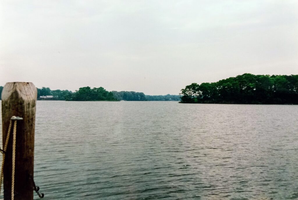 River stretching out to a tree-lined shore and a small forested island. On the left, a wooden pillar from a dock juts out of the water.