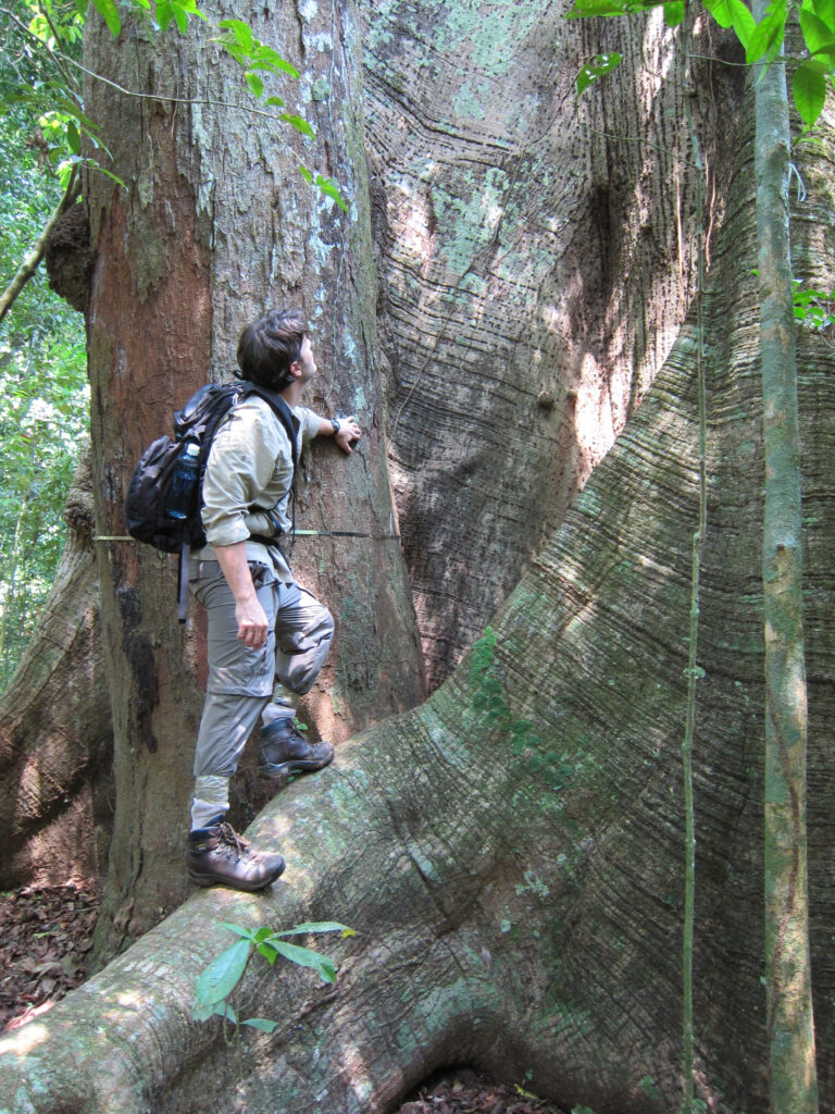 John Parker, wearing beige and gray field clothes and a black backpack, stands on the root of a giant tree looking up