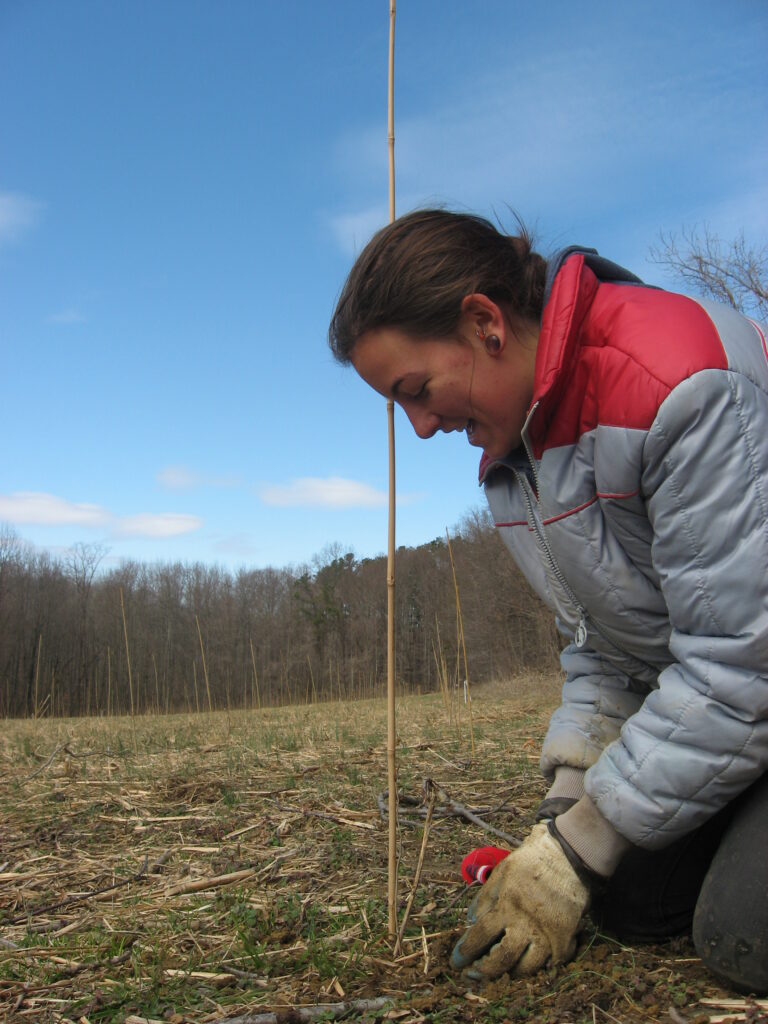 Young woman in a red and silver winter coat kneels in a brown field, smiling at a sapling