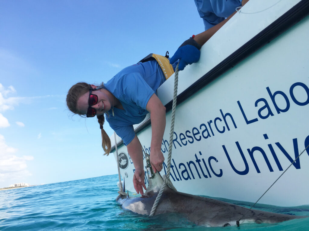 Beth Bowers, a scientist with braided blonde hair and sunglasses, leans over the side of a boat holding a shark fin with a small black tag attached to it