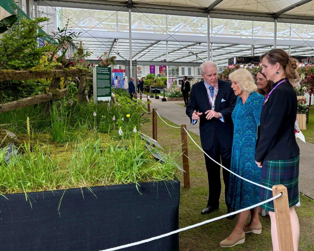 Queen Camilla, wearing a peacock-blue dress, looks at an indoor orchid exhibit with a gentleman and two ladies.