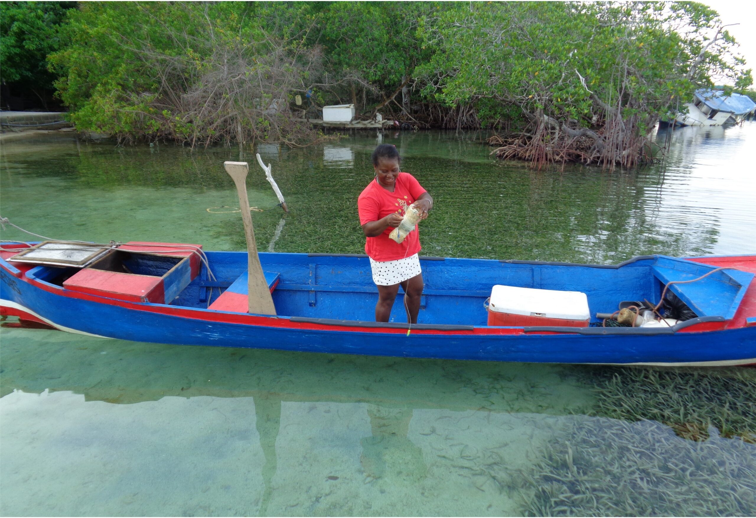 A woman in a red shirt stands on a wooden blue canoe, with a mangrove shoreline behind her. She is holding a wound up fishing net in her hands.