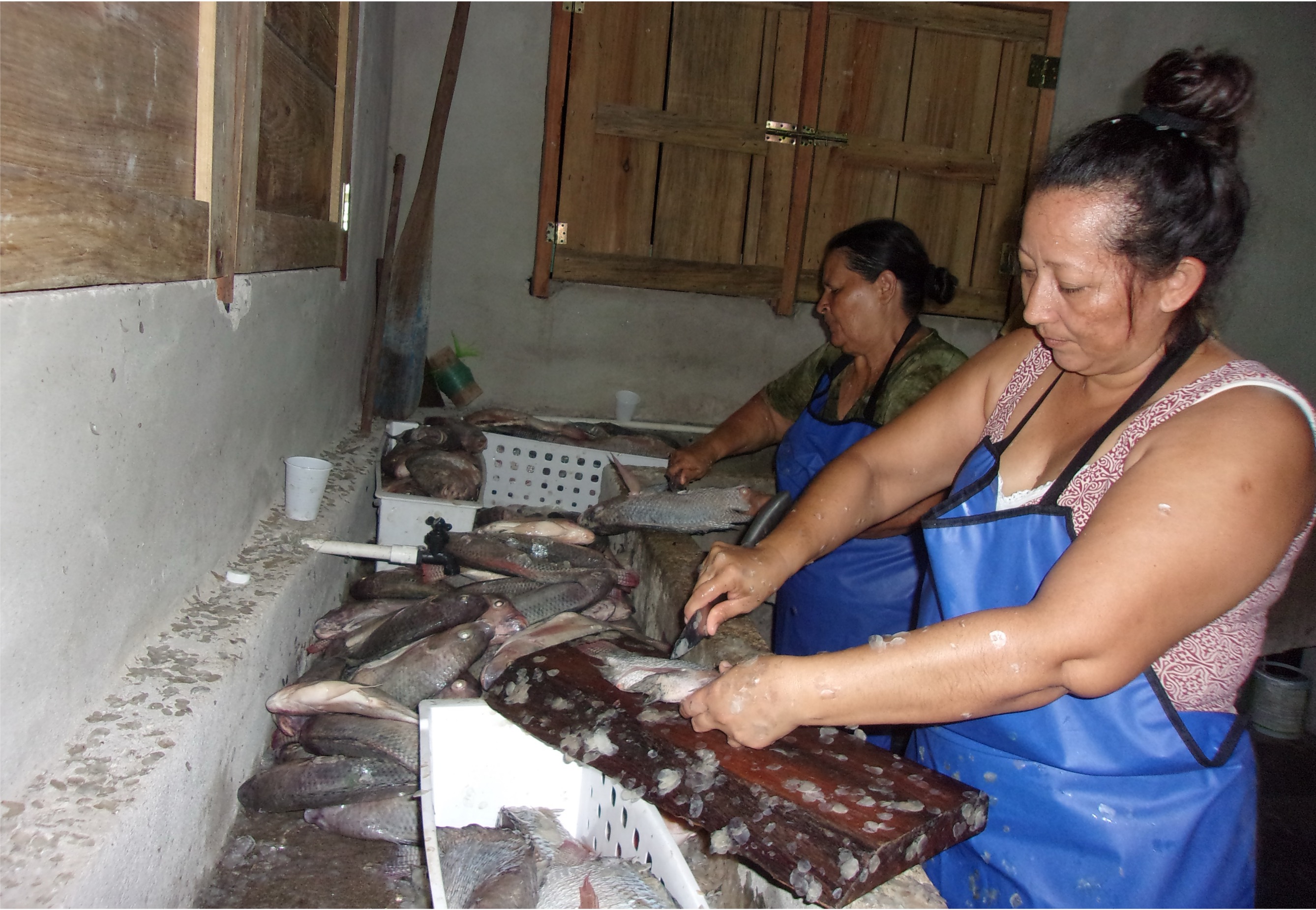 Two women in blue aprons cut fish in a stone house