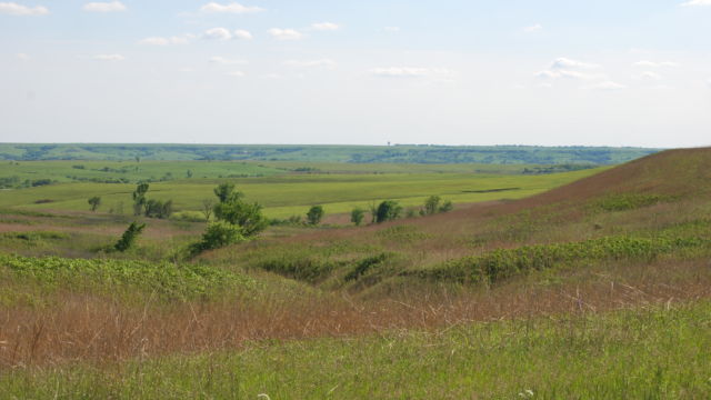 Green prairie